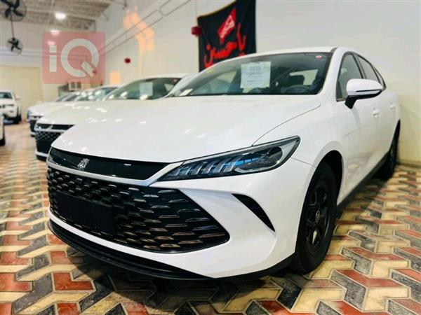 بی وای دی Qin Plus 2025  بۆ فرۆشتن لە عێراق - نەجەف